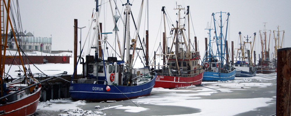 kutterhafen-winter.jpg